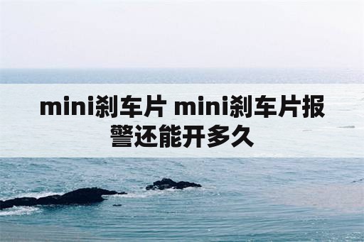 mini刹车片 mini刹车片报警还能开多久