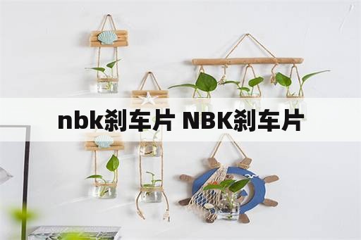 nbk刹车片 NBK刹车片