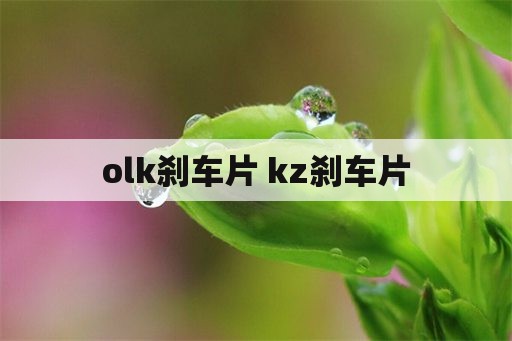 olk刹车片 kz刹车片