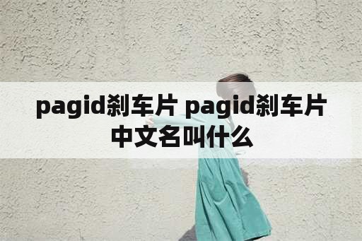 pagid刹车片 pagid刹车片中文名叫什么