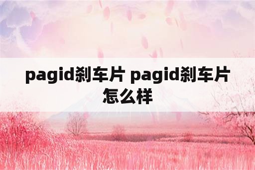 pagid刹车片 pagid刹车片怎么样