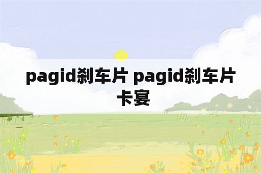 pagid刹车片 pagid刹车片 卡宴