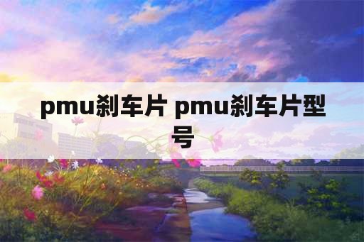 pmu刹车片 pmu刹车片型号