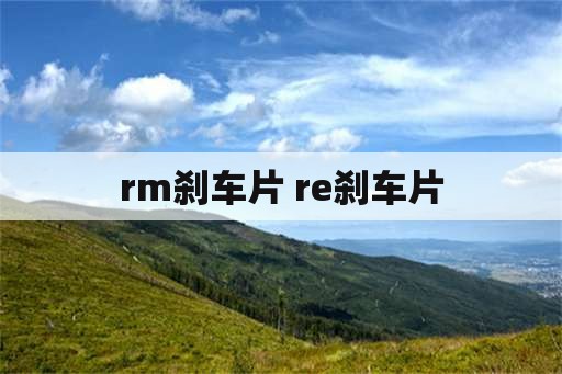 rm刹车片 re刹车片