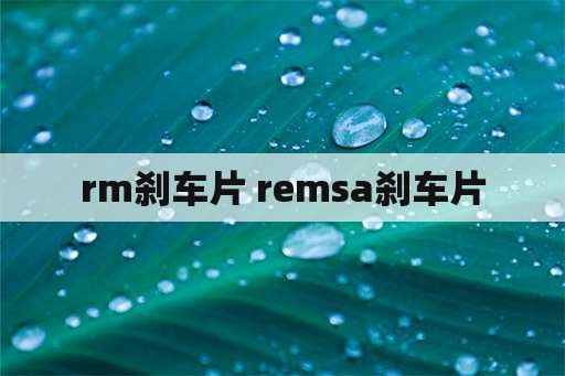 rm刹车片 remsa刹车片