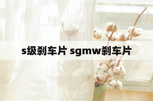 s级刹车片 sgmw刹车片