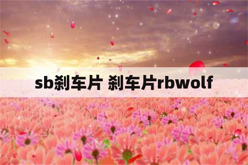 sb刹车片 刹车片rbwolf