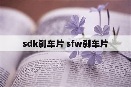 sdk刹车片 sfw刹车片