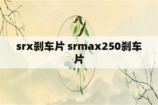 srx刹车片 srmax250刹车片