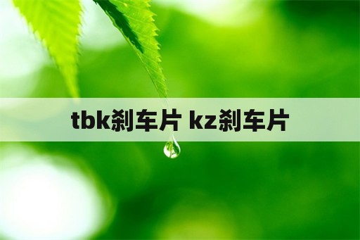 tbk刹车片 kz刹车片