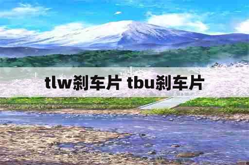 tlw刹车片 tbu刹车片