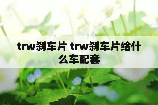 trw刹车片 trw刹车片给什么车配套