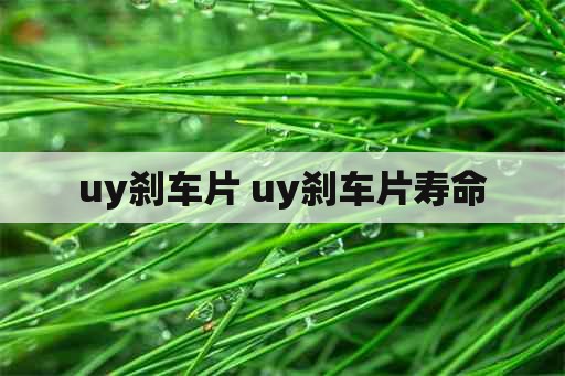 uy刹车片 uy刹车片寿命