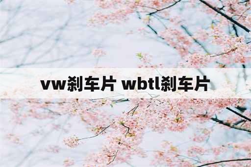 vw刹车片 wbtl刹车片