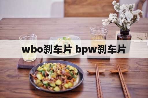 wbo刹车片 bpw刹车片