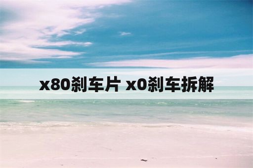 x80刹车片 x0刹车拆解