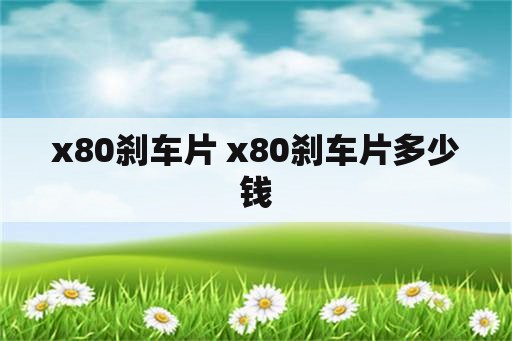 x80刹车片 x80刹车片多少钱