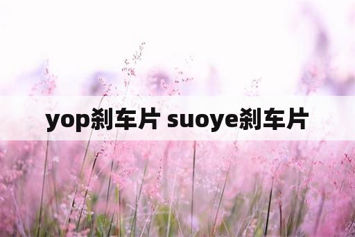 yop刹车片 suoye刹车片